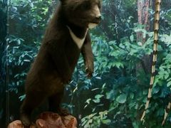 -国家自然博物馆