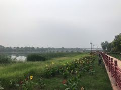 -绿堤公园