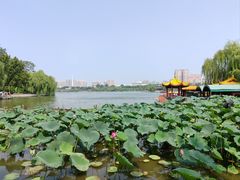 -济南大明湖景区