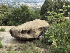 -白水寺森林公园