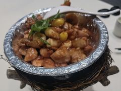 -丁老爷子苏香圆