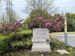 -上海崧泽遗址博物馆