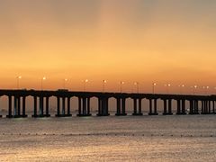 -宝安西湾红树林湿地公园