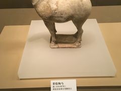 -陕西历史博物馆