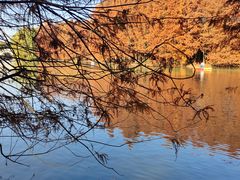 -上海海湾国家森林公园