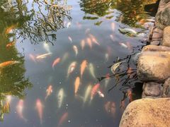 -厦门日月谷温泉渡假村