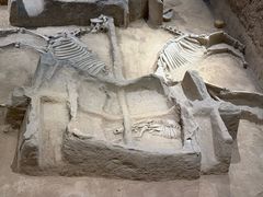 -洛阳周王城天子驾六博物馆