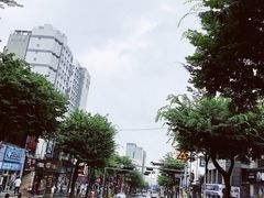 -宝健路步行街(Pedestrian Shopping Street)