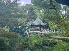 -申粤轩酒楼·三十年粤菜经典(丁香花园店)