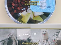 -星多哈·狗咖·拼豆·咖啡