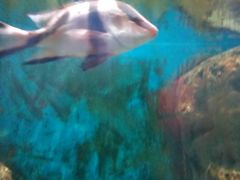 -临沂极地海洋王国