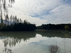 -尚层别墅装饰·大宅装修定制设计(天津分公司)