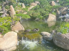 -罗红摄影艺术馆