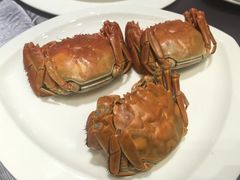 蟹-盘锦生态酒店-火锅餐厅
