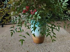 -洛阳宴·洛阳菜(南昌路店)