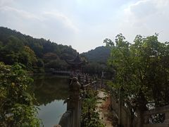 -青龙山国家森林公园