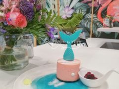 美人鱼-随心小姐