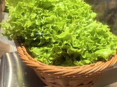 -柿子树炭烤羊腿(金台路店)