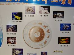 -泉城欧乐堡海洋极地世界