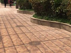 -万佳国际酒店-阳光空中西餐厅(石狮服装城店)