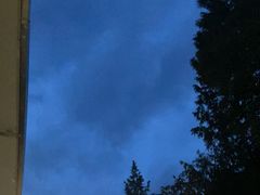 -黑竹沟新场牛肉火锅