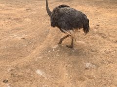 -昆明动物园