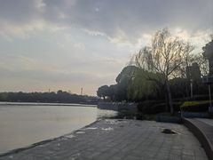 -南翔镇银翔湖公园