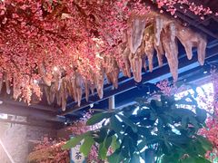 -寻钵记民菜馆·正宗常德钵子菜(滨湖路店)