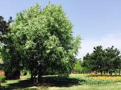 -长春公园(普阳街道)