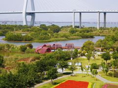 -芒洲湿地公园
