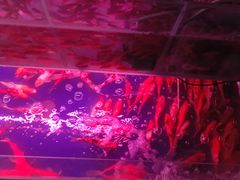 -秦美花卉(天朗·莱茵小城2期店)