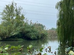 -皖北巫氏三胖地锅鸡(正大店)