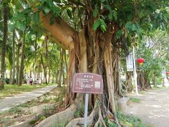 -白沙门生态公园