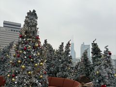 -城市露台景观餐厅(淮海路店)