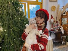 -知物癖(牛王庙店)