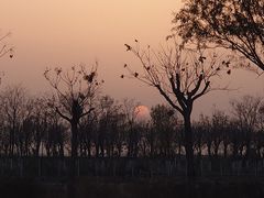 -天津妈祖文化园