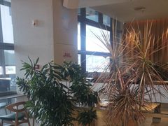 -Bco豆库(星耀天地店)