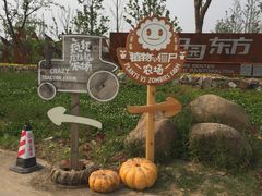 -田园东方蜜桃村的田野营地