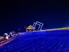 -大塘金香草谷