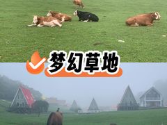 -关山草原