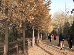 -北京麋鹿生态实验中心