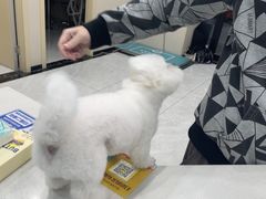 -安安宠医宠物医院·异宠·犬猫内科(岳阳分院)