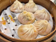 -莱莱小笼·乔艾