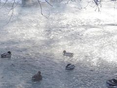 -水磨沟公园