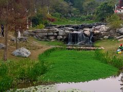 -东莞植物园