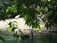 -长白岛森林公园