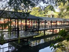 -侨美·唐荔园·40年地道粤菜