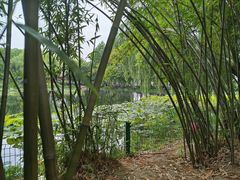 -金银湖国家城市湿地公园