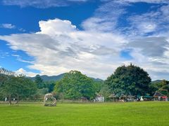 -中国科学院西双版纳热带植物园