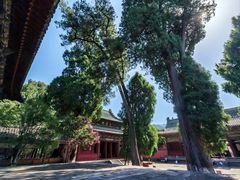 -报恩寺(平武县)